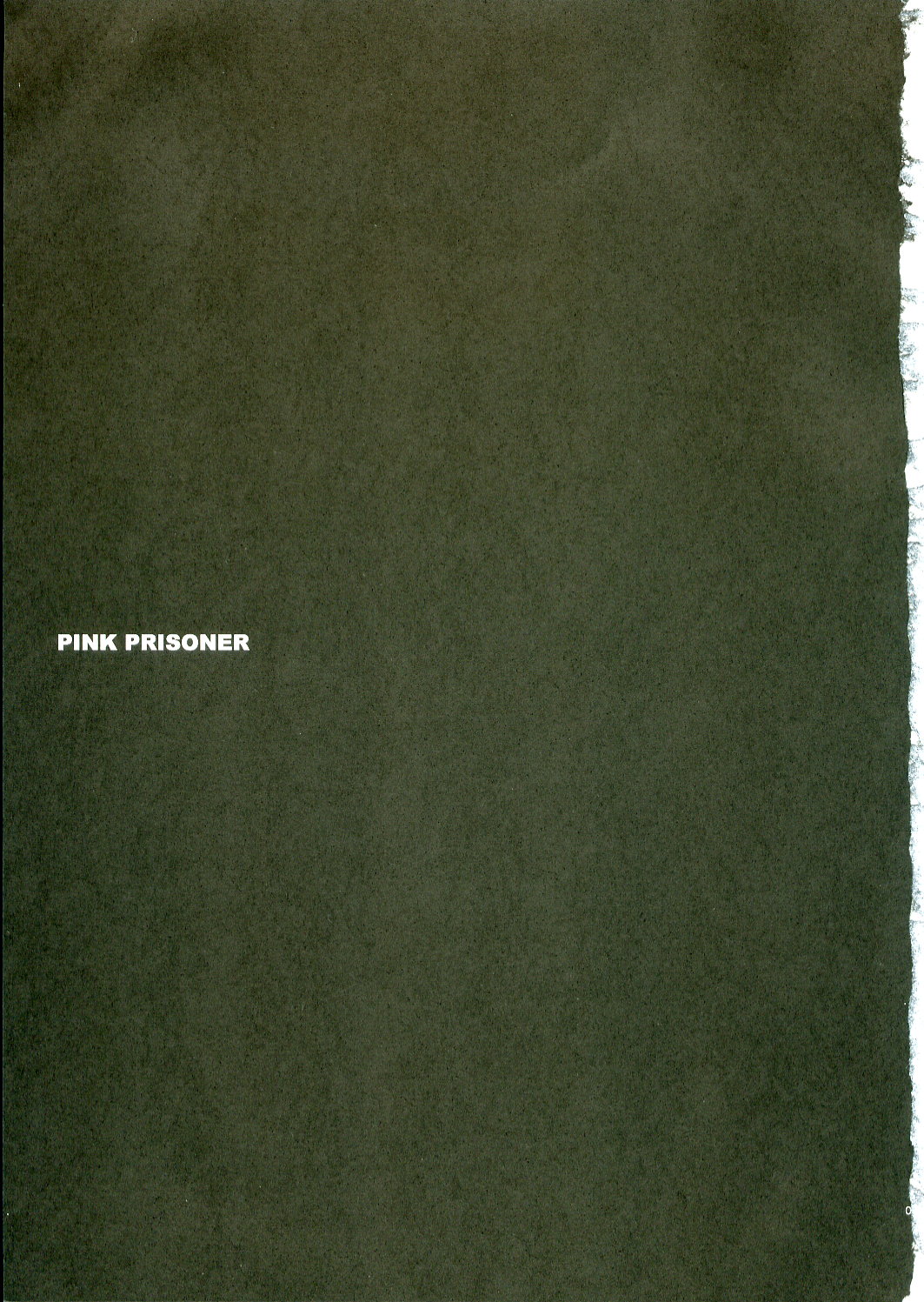 PINK PRISONER page 2 full