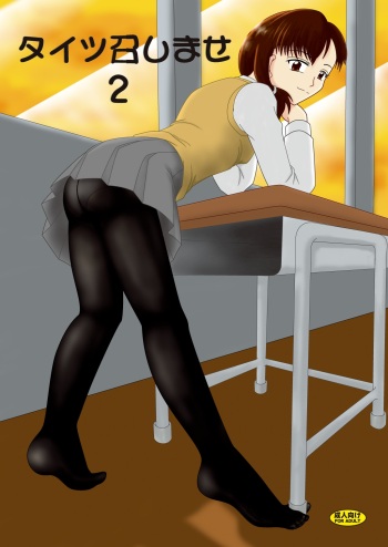 Tights Meshimase 2 cover