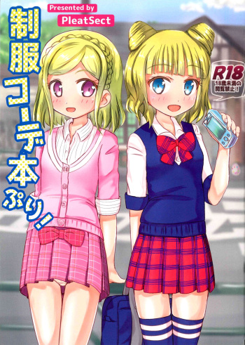 Seihuku Coodinate Hon Puri! cover