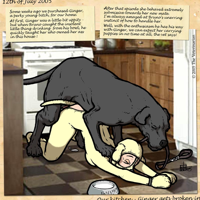 Art of The Veterinarian page 4 full