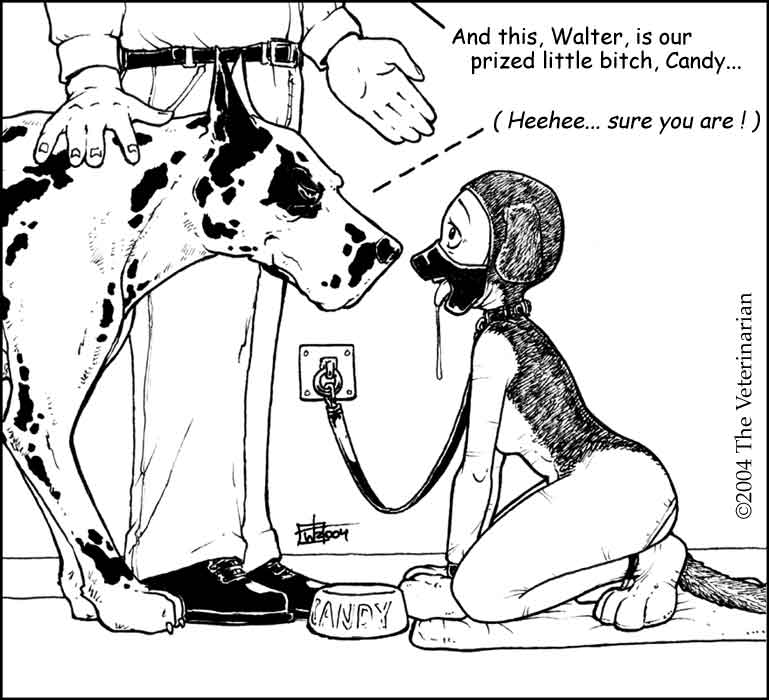 Art of The Veterinarian page 5 full
