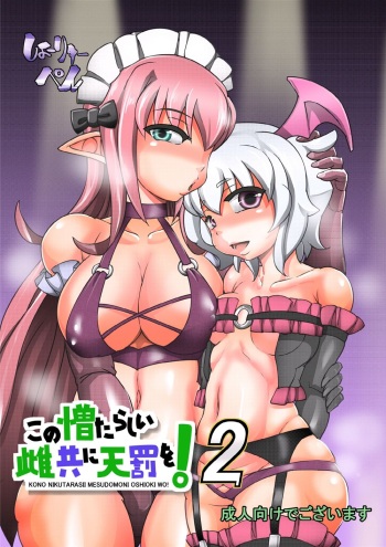 Kono Nikutasarashii Mesudomo ni Oshioki o! 2 cover