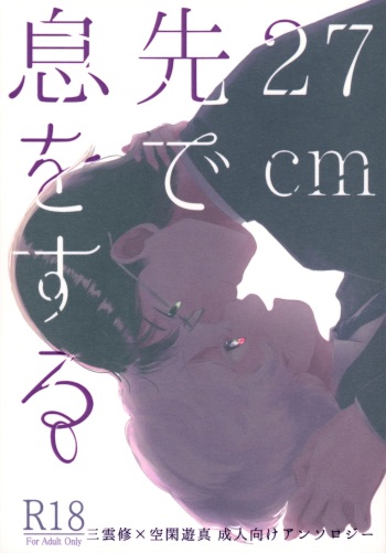 27cm Saki de Iki o Suru cover