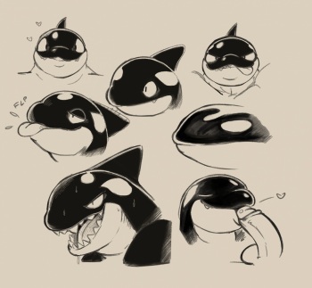 Gay Orca Zone cover