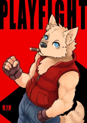 PLAY FIGHT cover