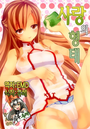 Ai no Katachi | 사랑의 형태 cover