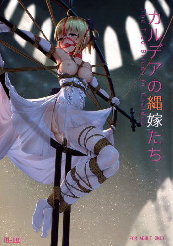 Chaldea no Nawa Yome-Tachi cover