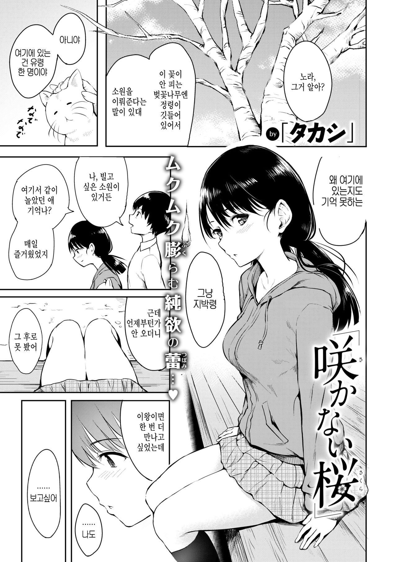 Sakanai Sakura | 피지 않는 벚꽃 page 1 full