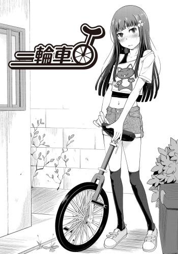 Unicycle cover