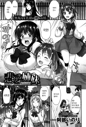 Hiai Shimai - Blighted love Sisters cover