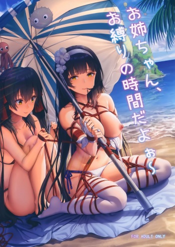Onee-chan, Oshibari no Jikan da yoo~ cover