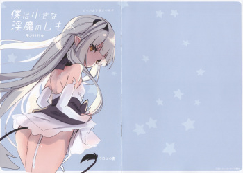 Boku wa Chiisana Succubus no Shimobe - Toranoana Tokuten cover