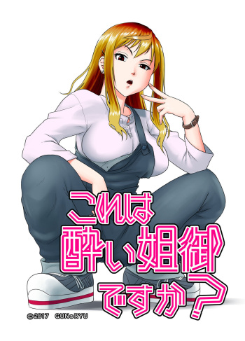 Kore wa Yoi Anego desu ka? cover