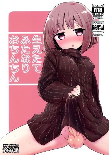 Haetate Futanari Ochinchin cover