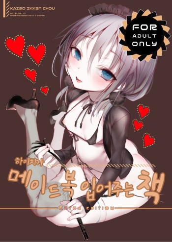 Youichi ga Maid Fuku o Kite kureru Hon | 하이치가 메이드복 입어주는 책 cover