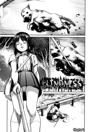 BLINDNESS Zenpen cover