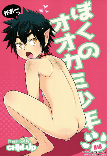 Boku no Ookami Shounen cover