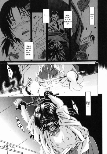 Aigan Sakurige | Domestication of a Flower cover