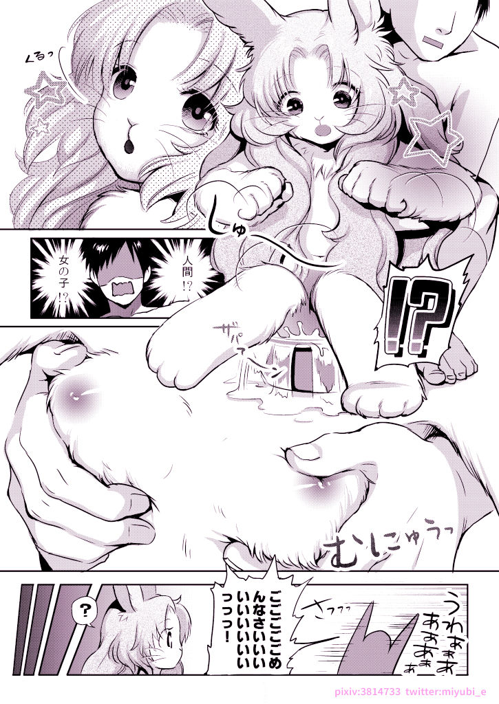 First page 3 full