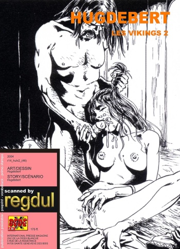 Les Vikings T2 cover