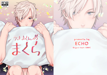 Usakikun no makura cover