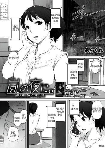 Arashi no Yoru ni. cover