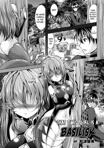 Uchiki na Kanojo wa Basilisk | That Timid Girl Is a Basilisk cover
