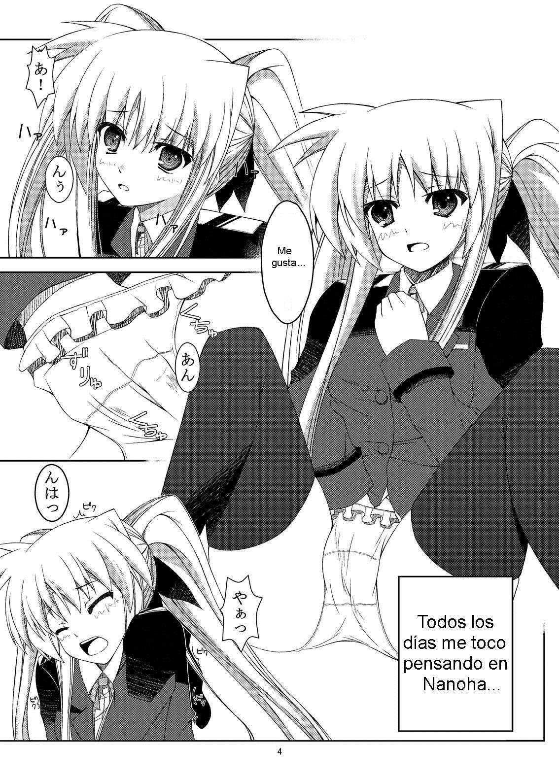 Hentai Fate-chan no Nikka page 4 full