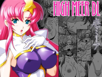 HIGH MEER DL cover