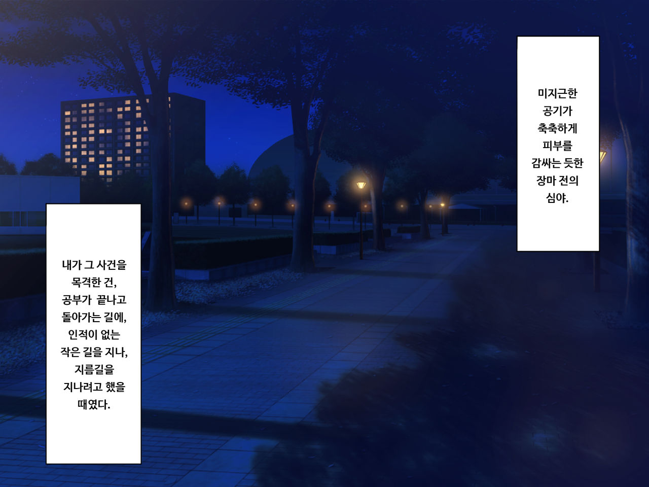 TS Mesu Dorei e no Kaizou | TS 암컷 노예로의 개조 page 2 full