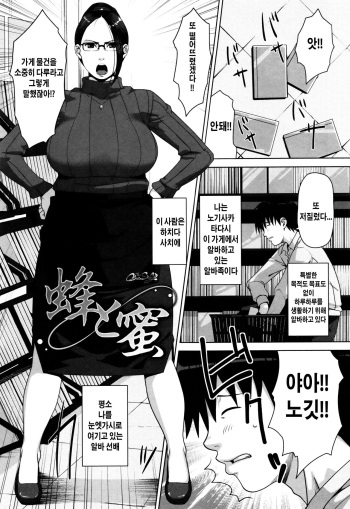 Hachi to Mitsu cover