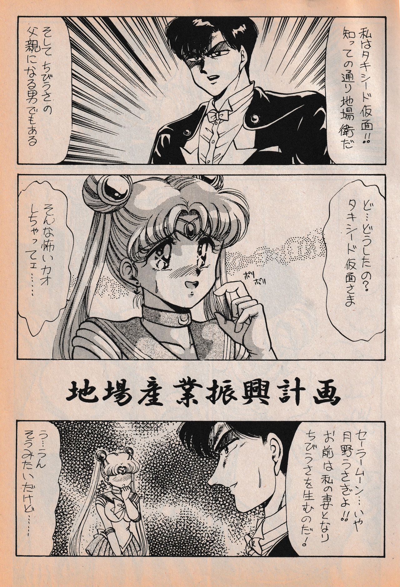 Sailor X vol. 7 - The Kama Sutra Of Pain page 2 full