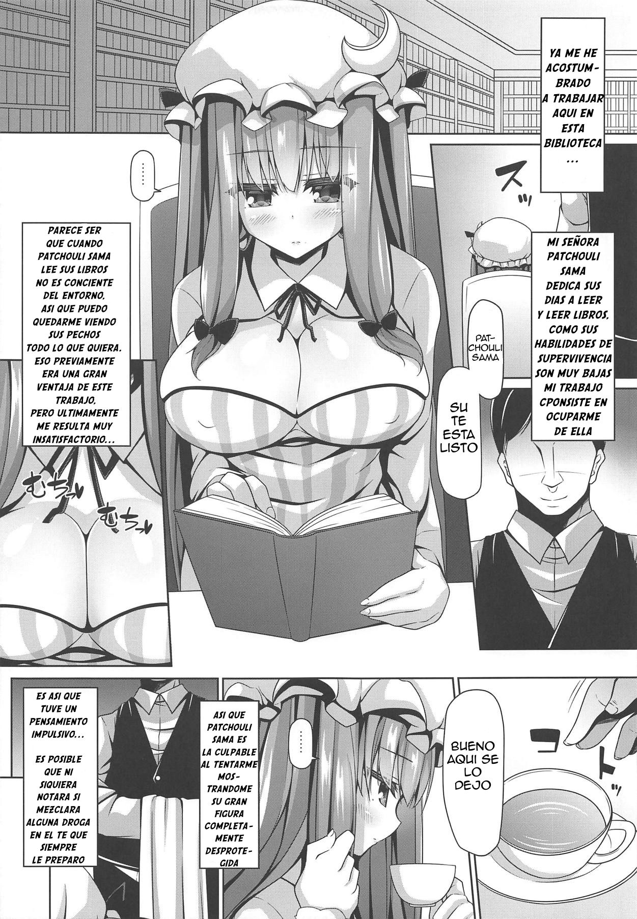 Neteiru Patchouli ni wa Nani o Shite mo Yoi | Si Patchouli Esta Dormida Puedo Hacerle Lo Que Quiera page 4 full