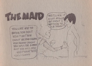 The Maid cover