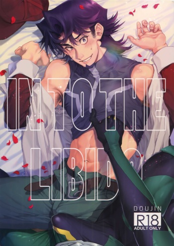 IN TO THE LIBIDO cover