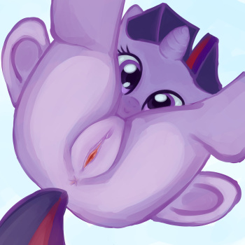 Twilight Sparkle Is A Cute cover