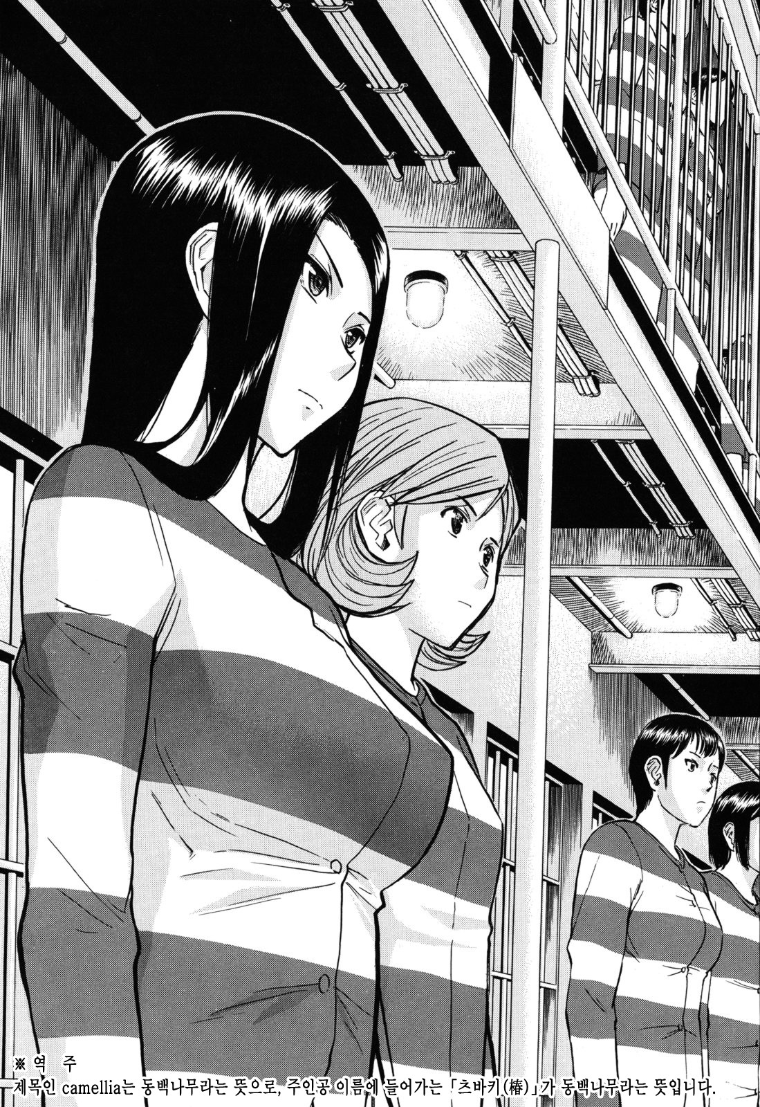 Camellia page 6 full