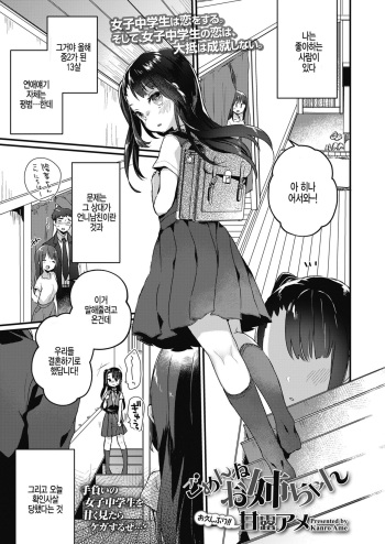Gomen ne Onee-chan cover