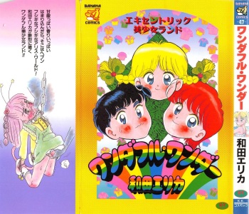 Wonderful Wonder cover
