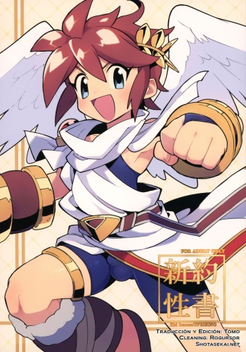 Shinyakuseisho cover