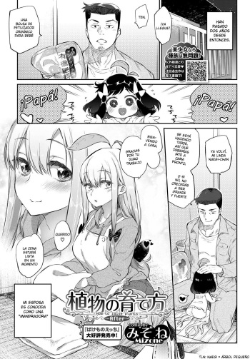 Shokubutsu no Sodatekata ~After~ cover