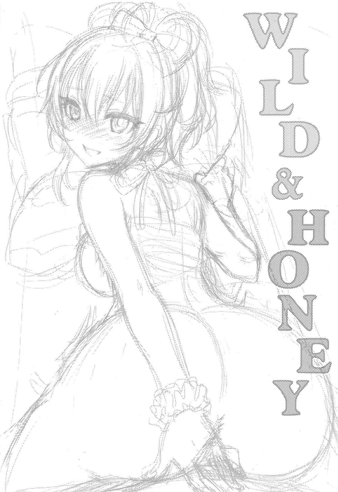 WILD &amp; HONEY page 2 full