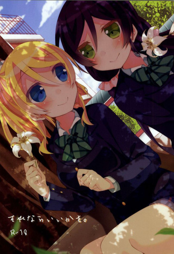 Sorenara Iikamo. cover