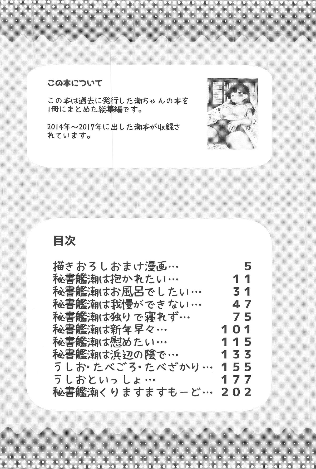 Hishokan Ushio Collection page 2 full