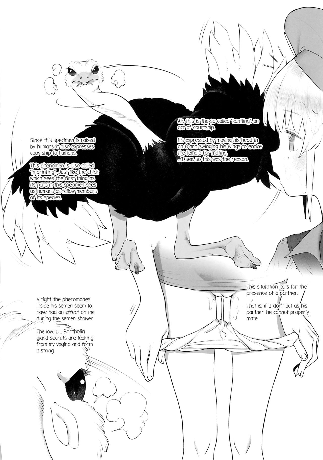 Tori no Kimochi Ii page 8 full