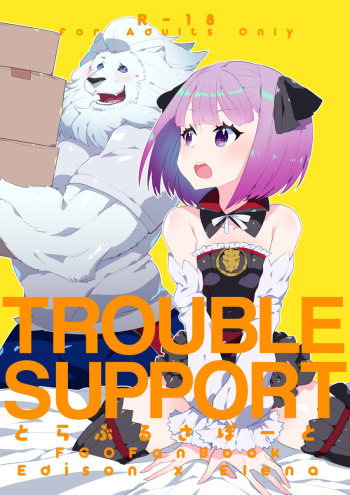 TROUBLE SUPPORT cover