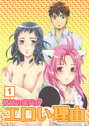 Kanojo no Dougu ga Eroi Riyuu cover