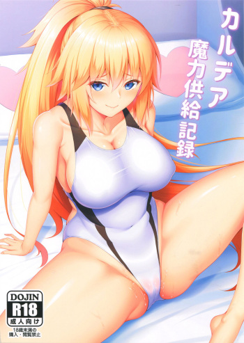 Chaldea Maryoku Kyoukyuu Kiroku cover