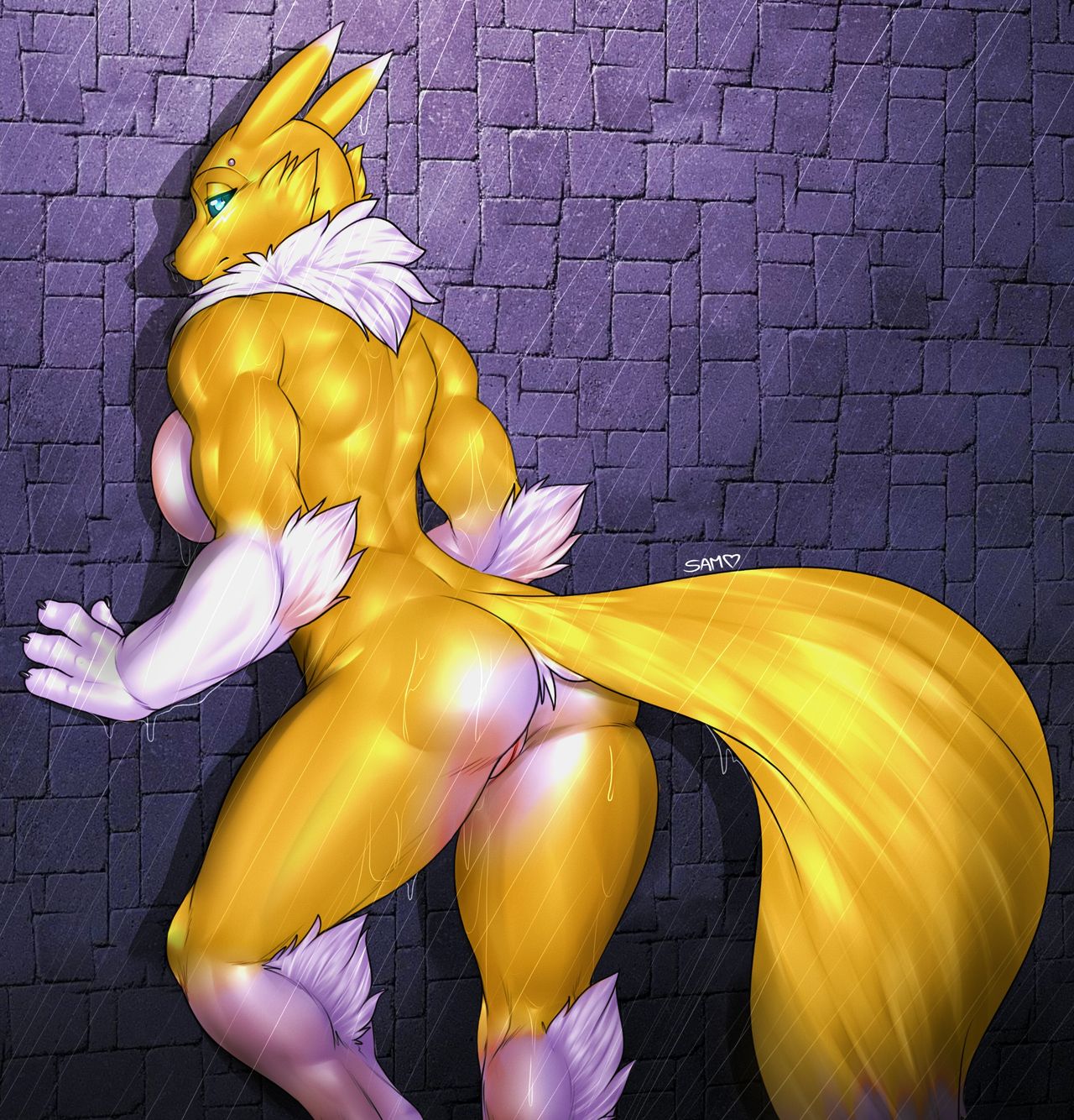 _thunder-renamon -intersex - e621 page 8 full