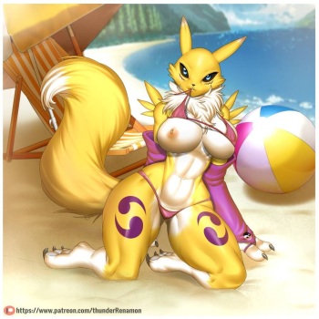 _thunder-renamon -intersex - e621 cover